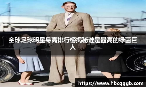 全球足球明星身高排行榜揭秘谁是最高的绿茵巨人