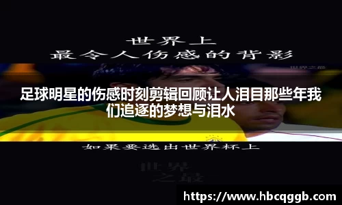 bsports必一体育