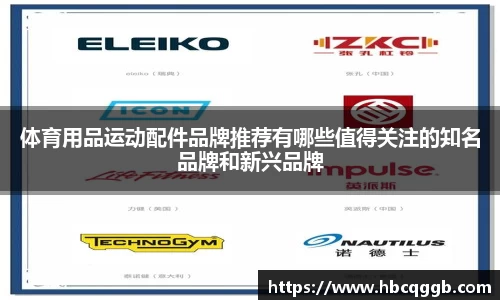 体育用品运动配件品牌推荐有哪些值得关注的知名品牌和新兴品牌